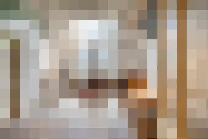 Waalbandijk 16 Varik thumbnail 23