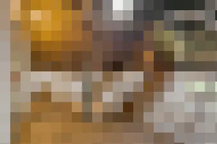 Waalbandijk 16 Varik thumbnail 29