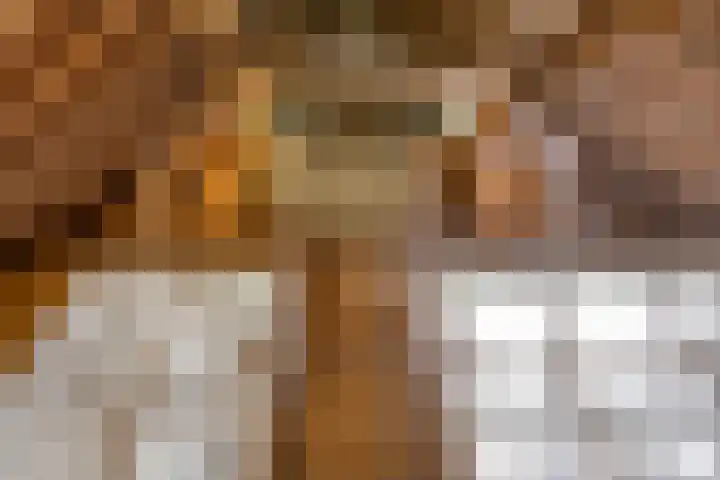 Waalbandijk 16 Varik thumbnail 30