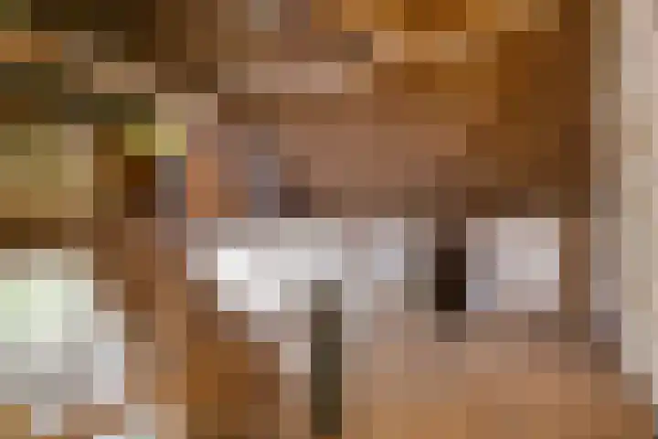 Waalbandijk 16 Varik thumbnail 31