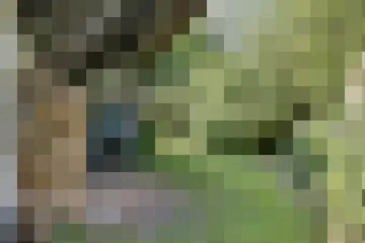 Waalbandijk 16 Varik thumbnail 35