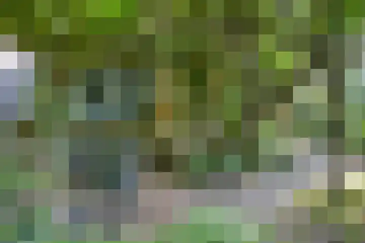 Waalbandijk 16 Varik thumbnail 37