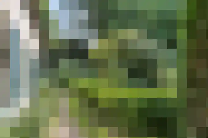 Waalbandijk 16 Varik thumbnail 38