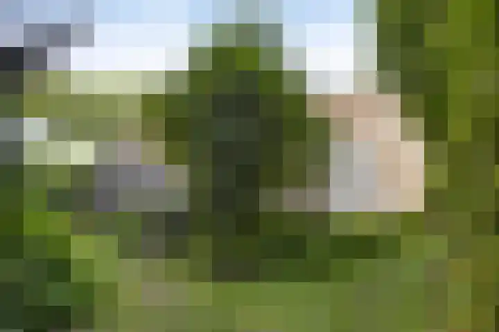 Waalbandijk 16 Varik thumbnail 4