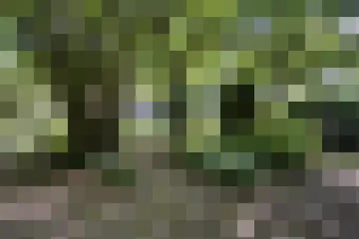 Waalbandijk 16 Varik thumbnail 41
