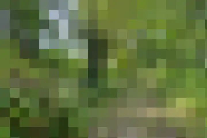 Waalbandijk 16 Varik thumbnail 42