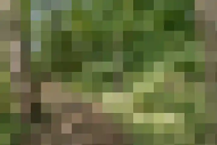 Waalbandijk 16 Varik thumbnail 44