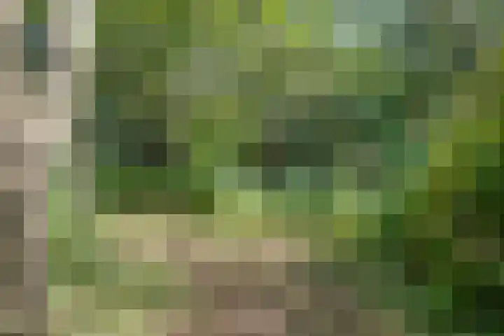 Waalbandijk 16 Varik thumbnail 45
