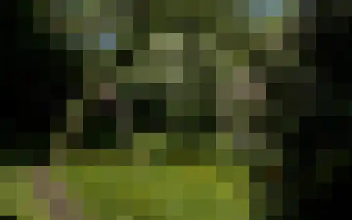 Waalbandijk 16 Varik thumbnail 46