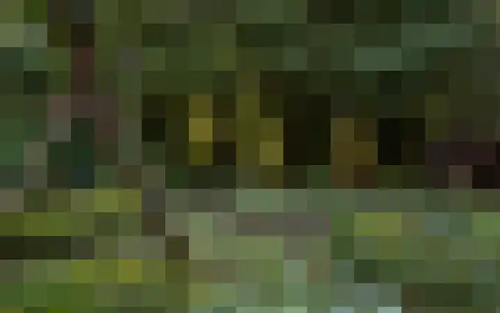 Waalbandijk 16 Varik thumbnail 47