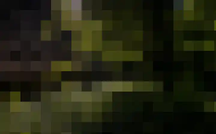 Waalbandijk 16 Varik thumbnail 48