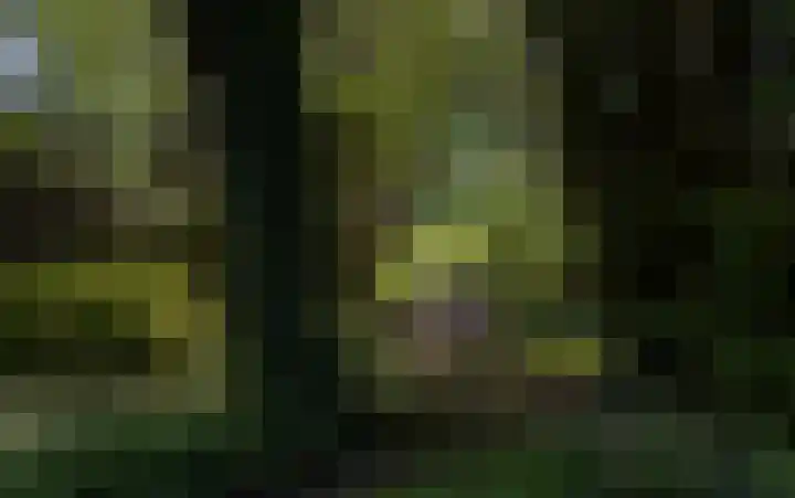 Waalbandijk 16 Varik thumbnail 49