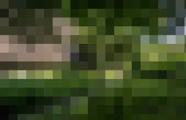 Waalbandijk 16 Varik thumbnail 5