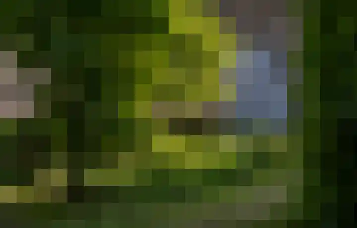 Waalbandijk 16 Varik thumbnail 50