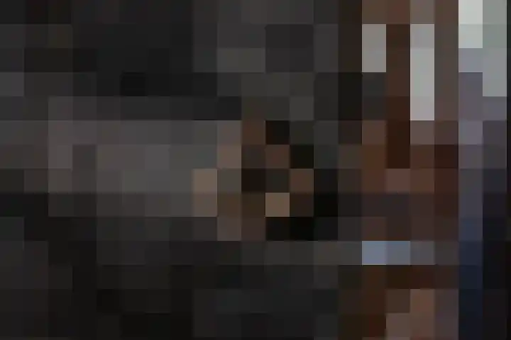 Waalbandijk 16 Varik thumbnail 52