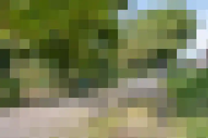Waalbandijk 16 Varik thumbnail 56