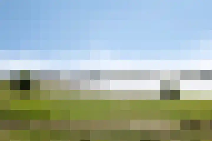Waalbandijk 16 Varik thumbnail 58
