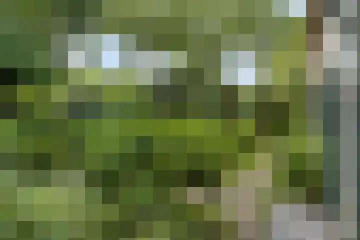 Waalbandijk 16 Varik thumbnail 6