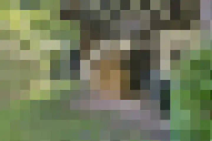 Waalbandijk 16 Varik thumbnail 7