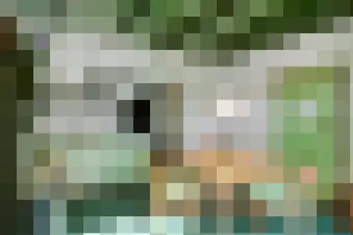 Waalbandijk 16 Varik thumbnail 8