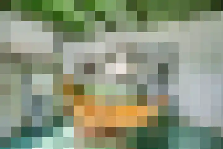Waalbandijk 16 Varik thumbnail 9
