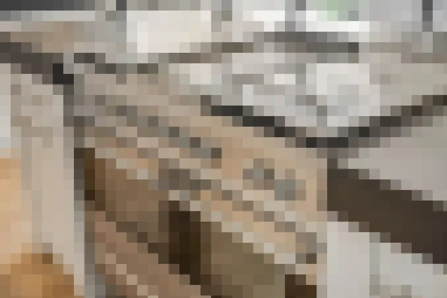 Waalbandijk 17 Dodewaard thumbnail 15