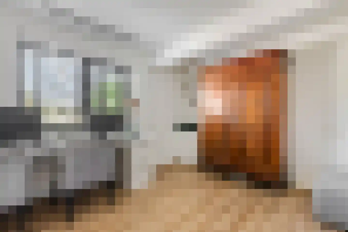 Waalbandijk 17 Dodewaard thumbnail 22