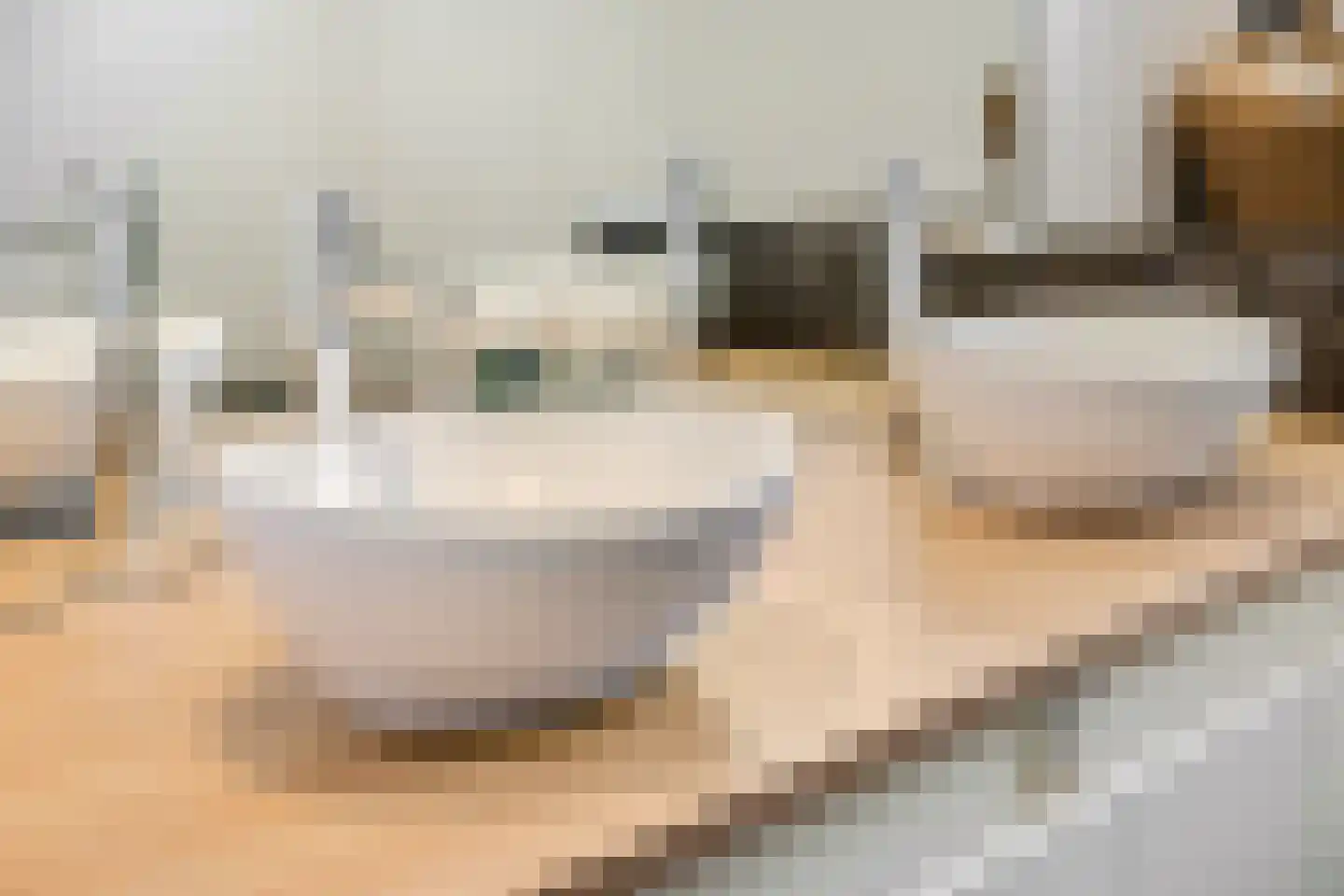 Waalbandijk 17 Dodewaard thumbnail 24