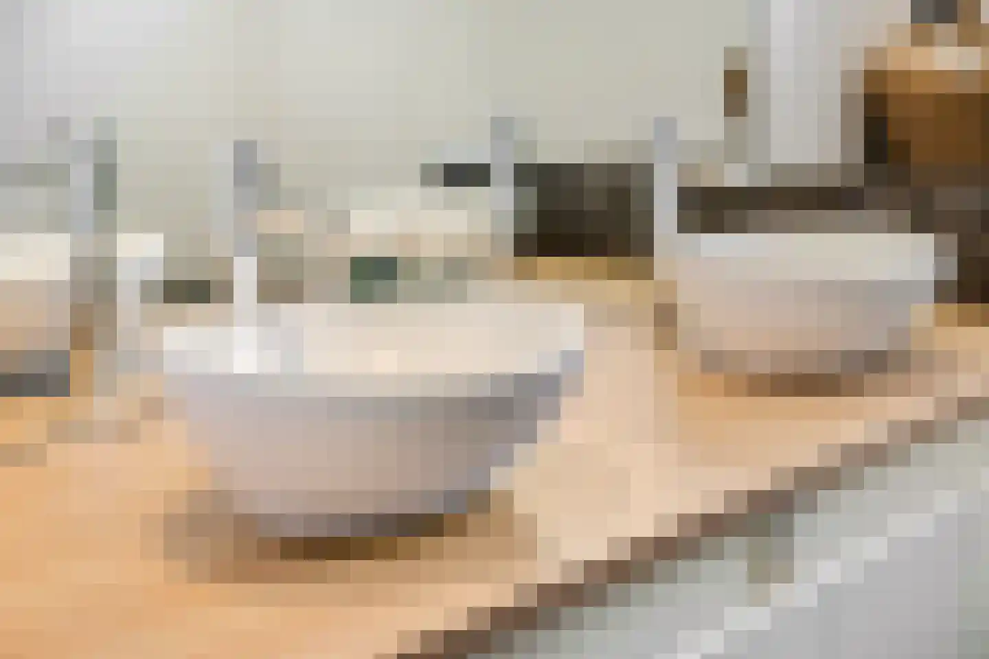 Waalbandijk 17 Dodewaard thumbnail 25