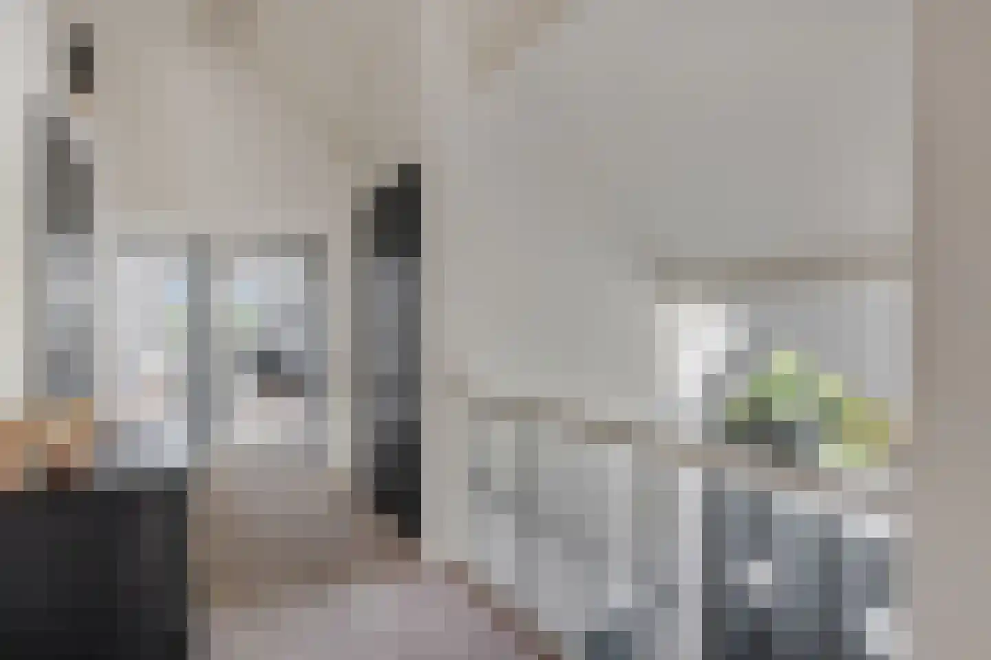 Waalbandijk 17 Dodewaard thumbnail 26