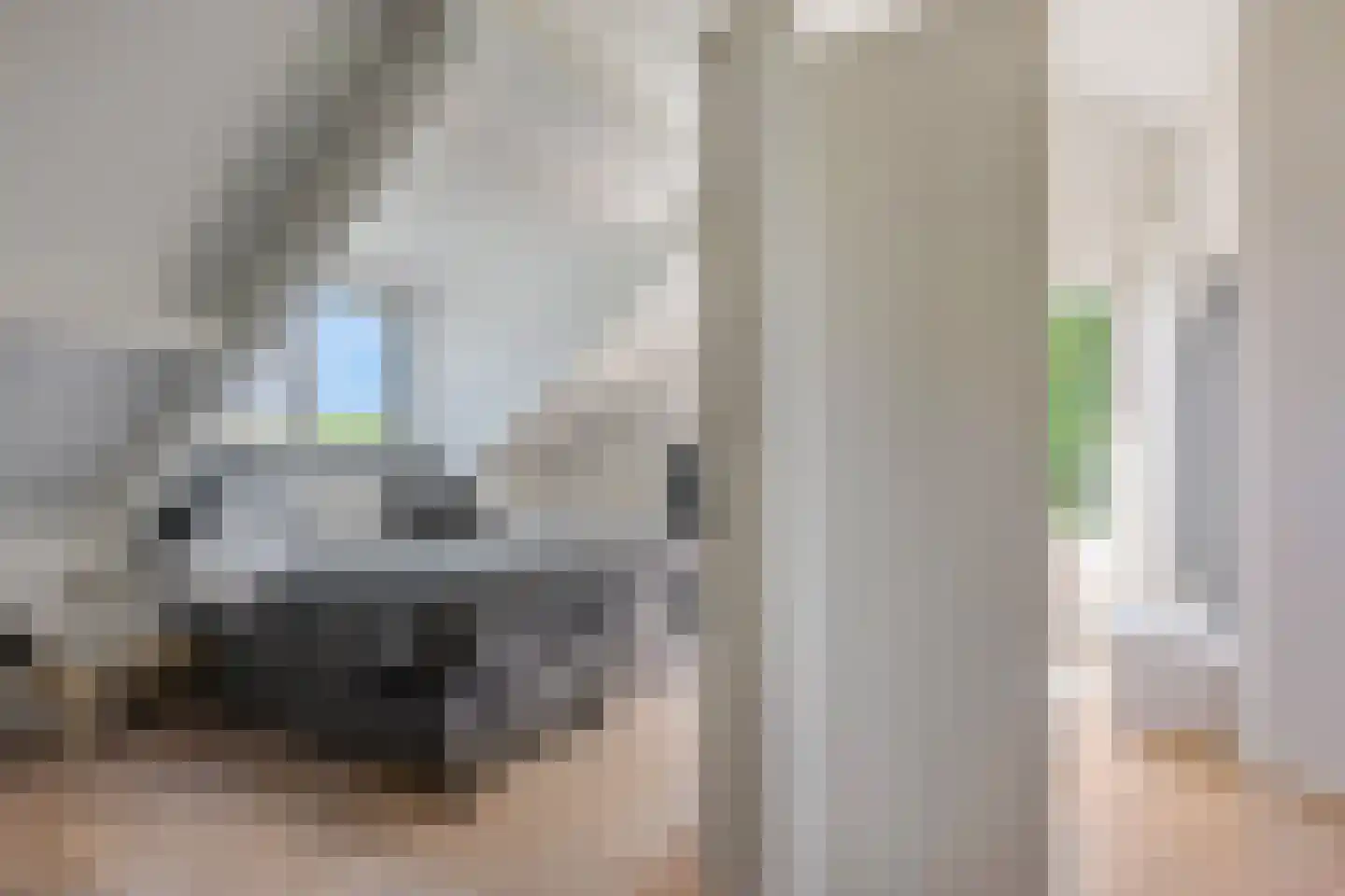 Waalbandijk 17 Dodewaard thumbnail 27