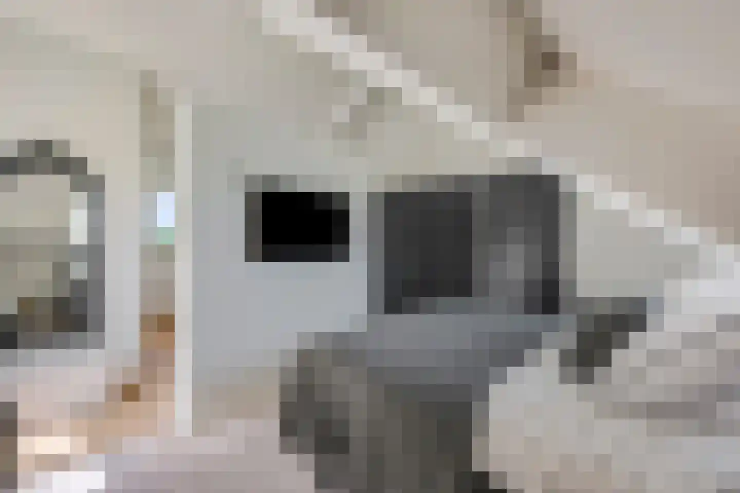 Waalbandijk 17 Dodewaard thumbnail 28