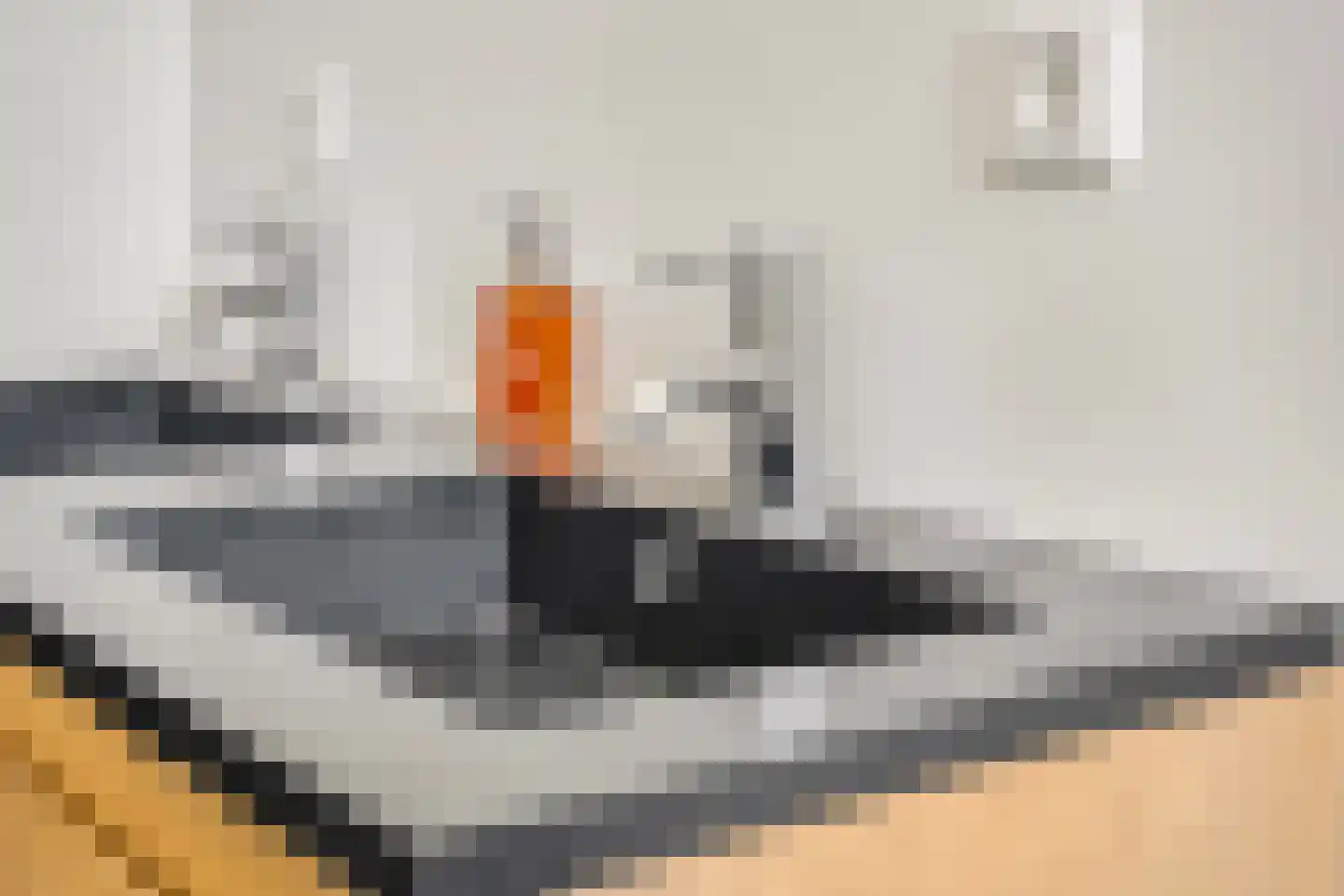 Waalbandijk 17 Dodewaard thumbnail 32