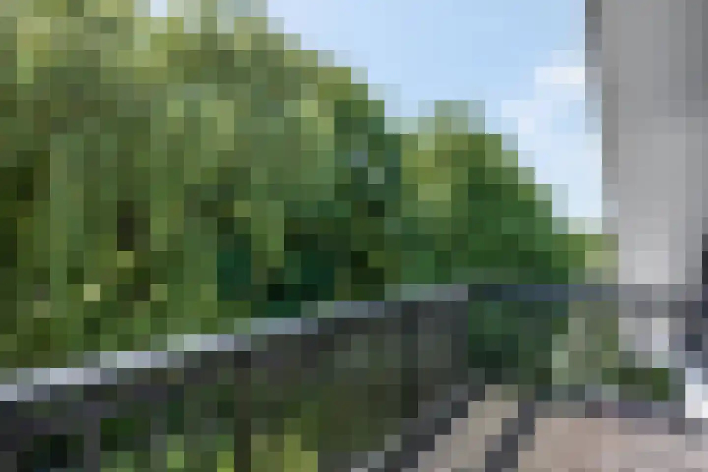 Waalbandijk 17 Dodewaard thumbnail 35