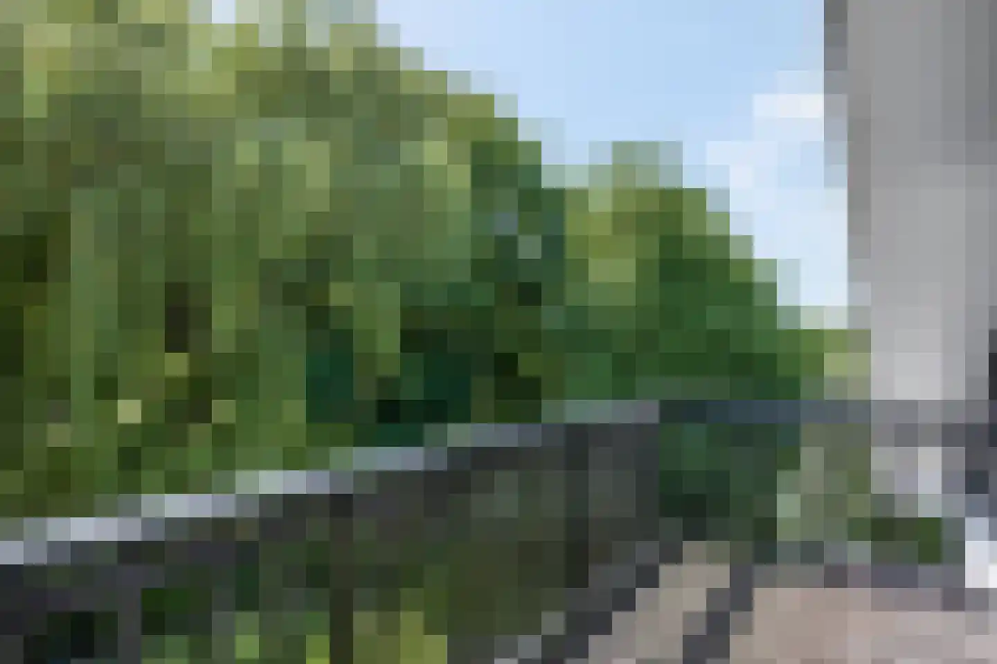 Waalbandijk 17 Dodewaard thumbnail 36