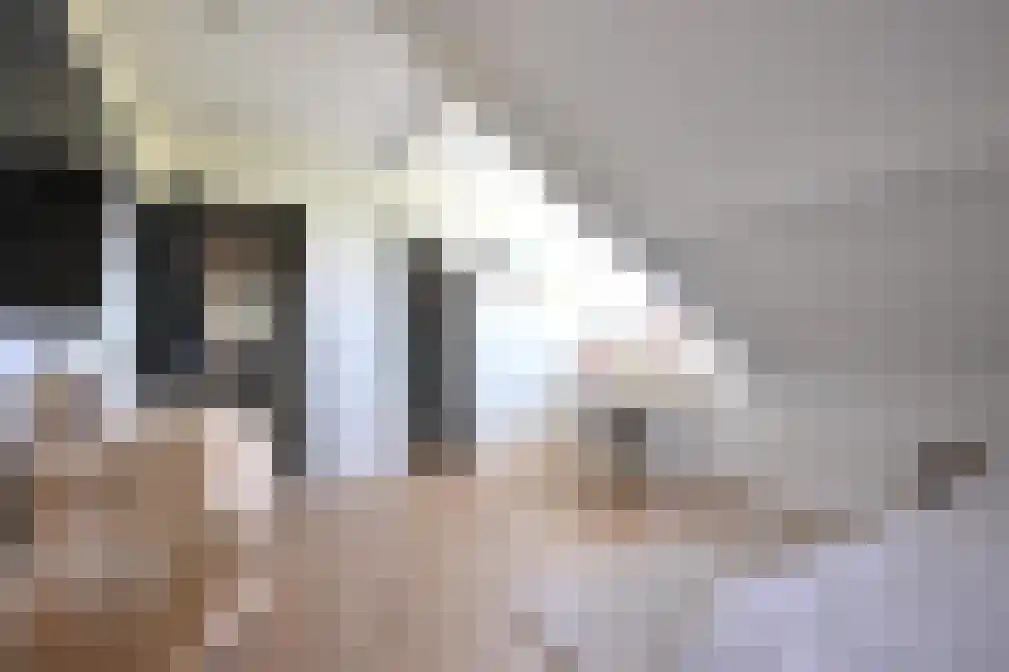 Waalbandijk 17 Dodewaard thumbnail 37