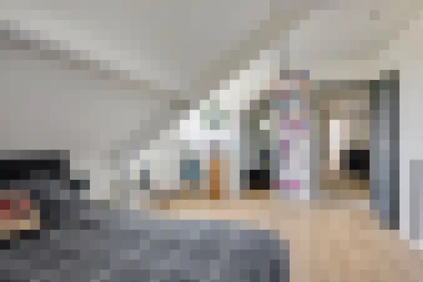 Waalbandijk 17 Dodewaard thumbnail 39