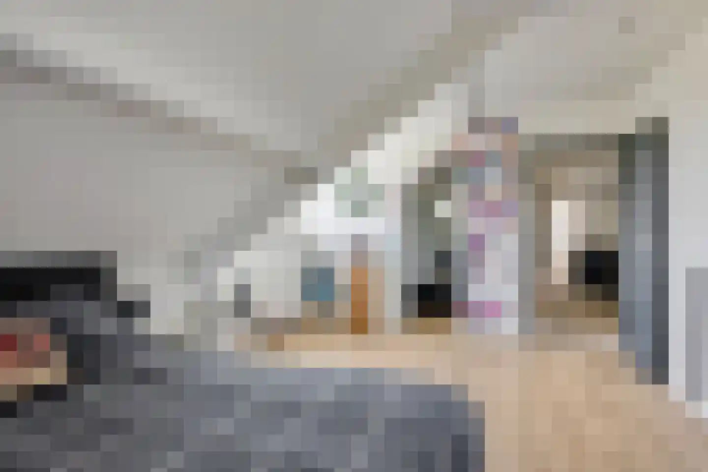 Waalbandijk 17 Dodewaard thumbnail 40