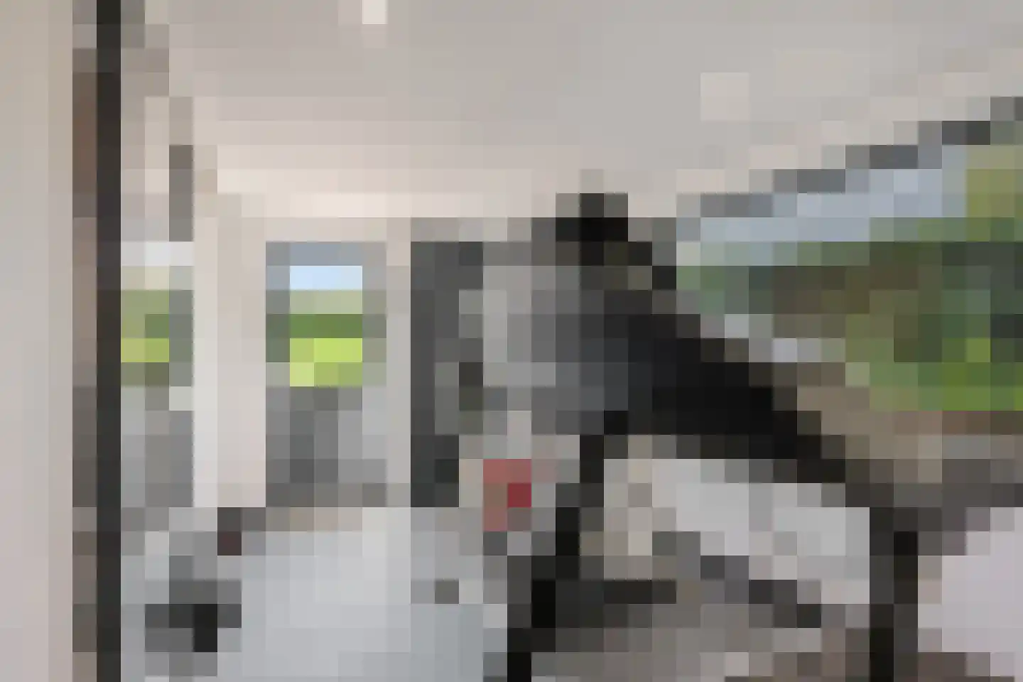 Waalbandijk 17 Dodewaard thumbnail 44