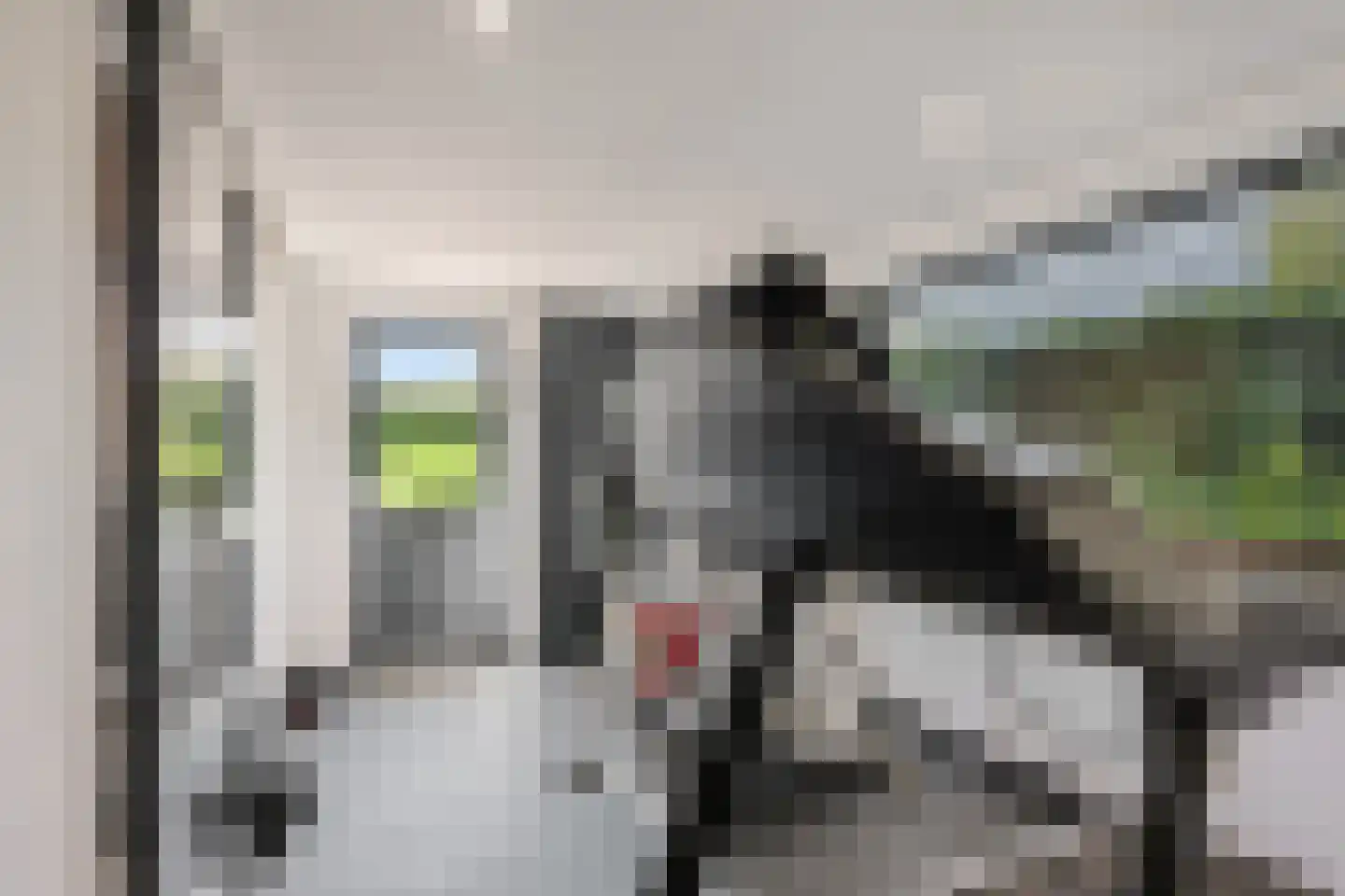 Waalbandijk 17 Dodewaard thumbnail 45