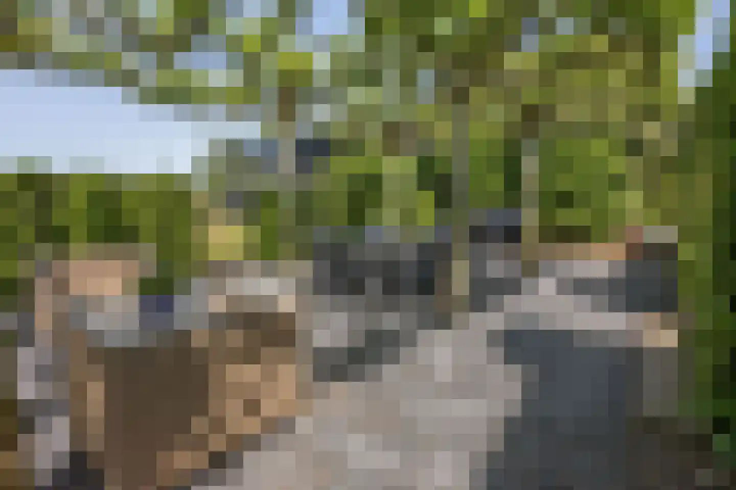 Waalbandijk 17 Dodewaard thumbnail 52