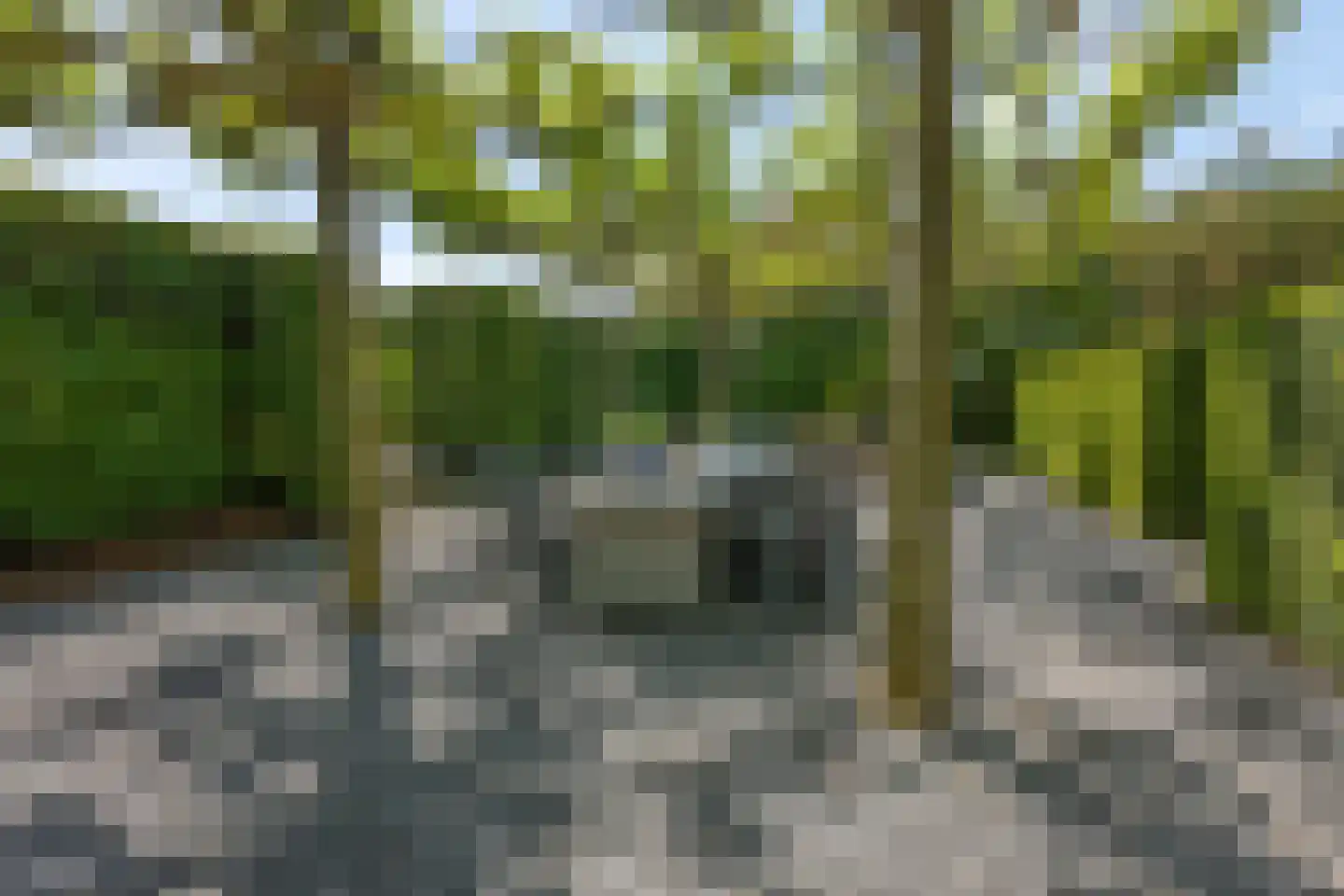 Waalbandijk 17 Dodewaard thumbnail 55