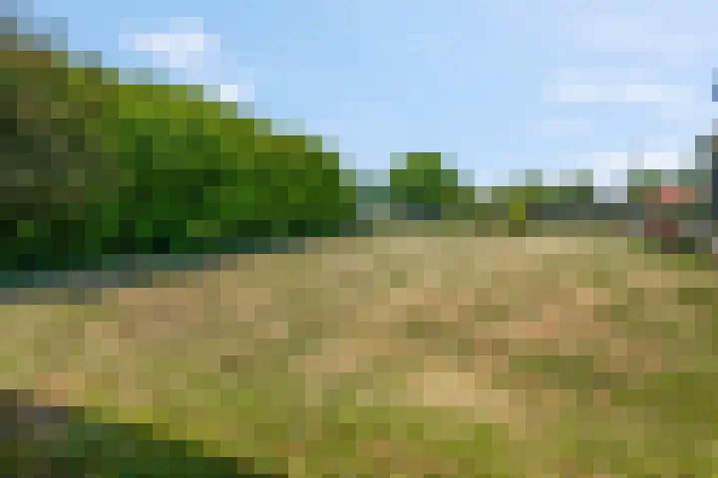 Waalbandijk 17 Dodewaard thumbnail 56