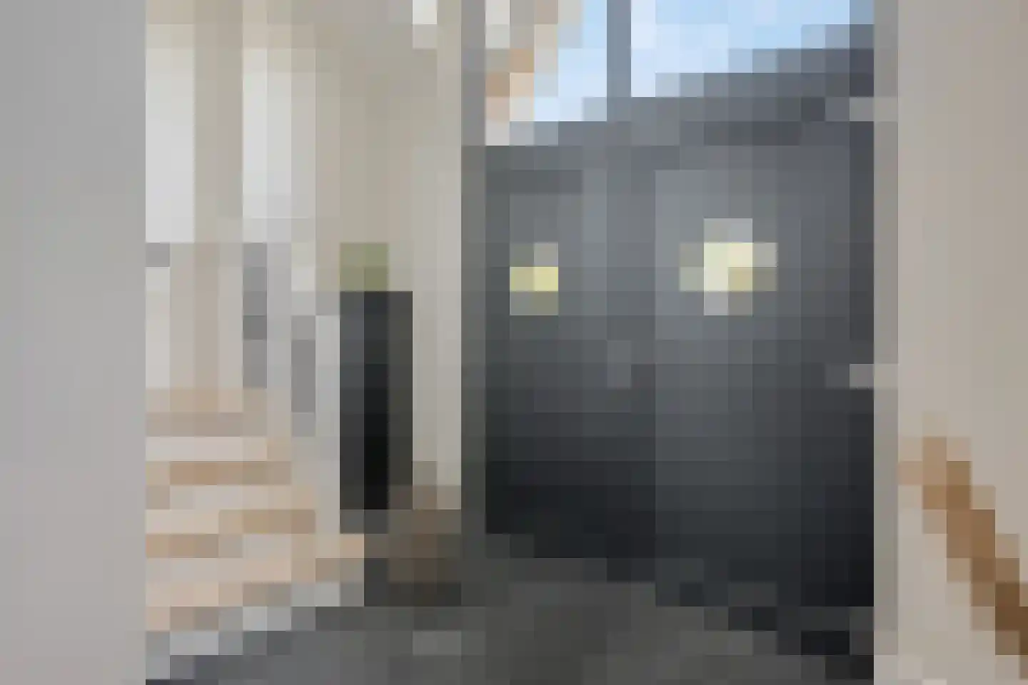 Waalbandijk 17 Dodewaard thumbnail 6