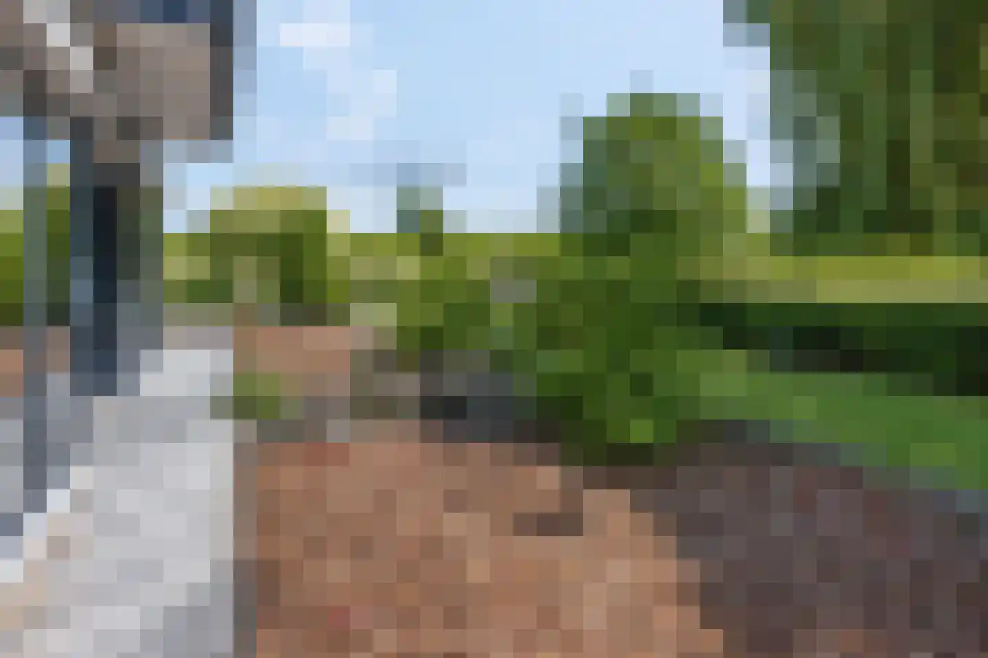 Waalbandijk 17 Dodewaard thumbnail 60