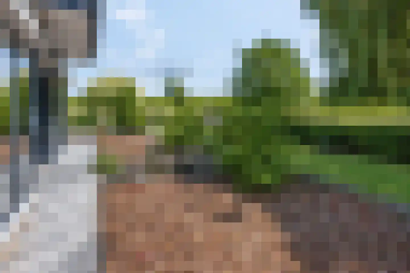 Waalbandijk 17 Dodewaard thumbnail 61