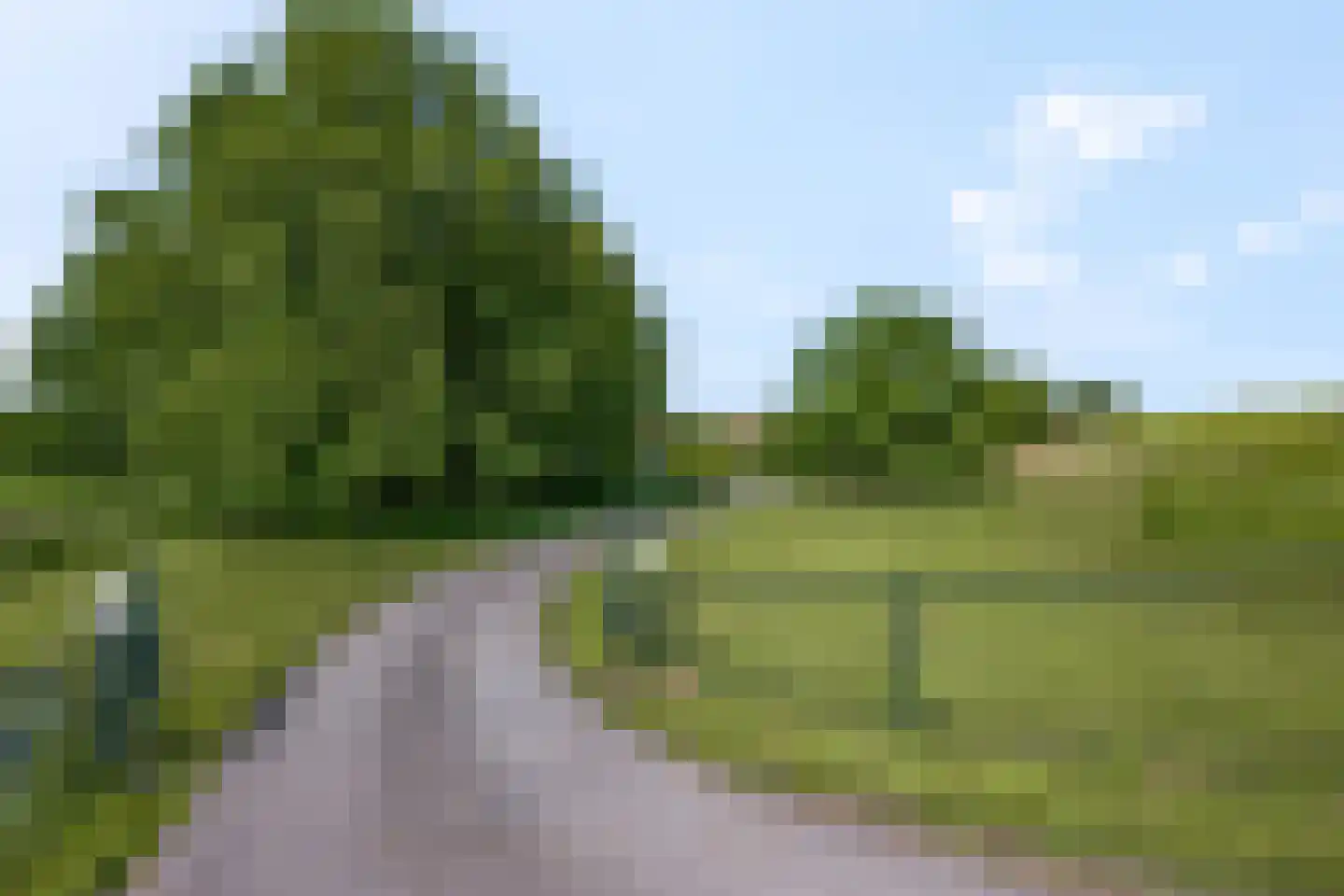 Waalbandijk 17 Dodewaard thumbnail 64