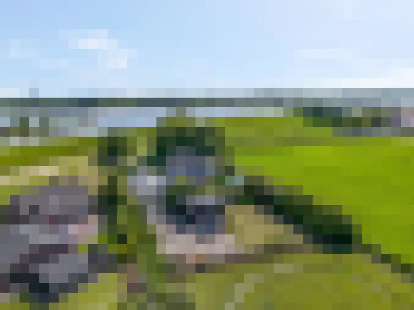Waalbandijk 17 Dodewaard thumbnail 65