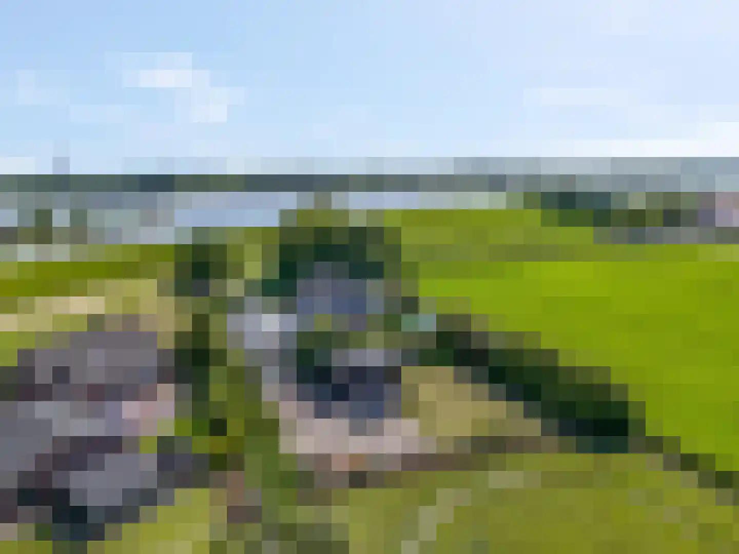 Waalbandijk 17 Dodewaard thumbnail 66