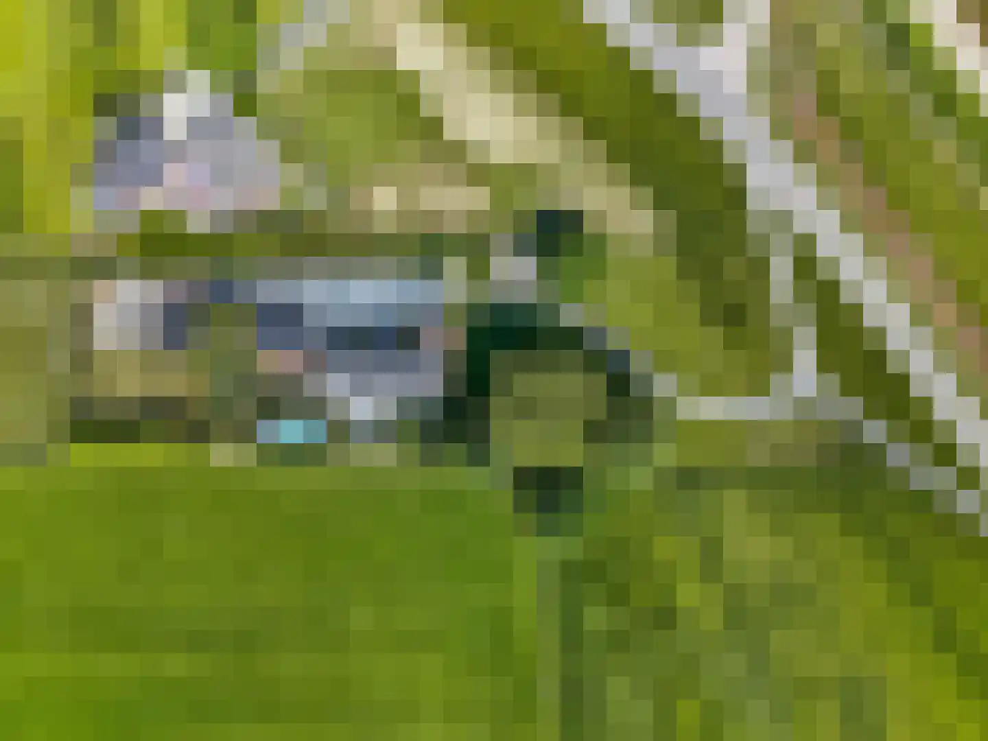Waalbandijk 17 Dodewaard thumbnail 69